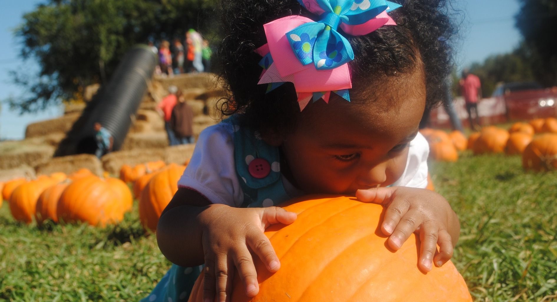 baby in pumpkin patch